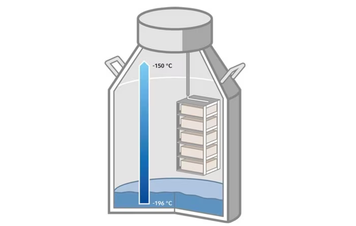 气相储存方式